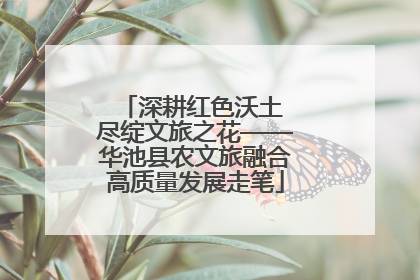 深耕红色沃土 尽绽文旅之花——华池县农文旅融合高质量发展走笔